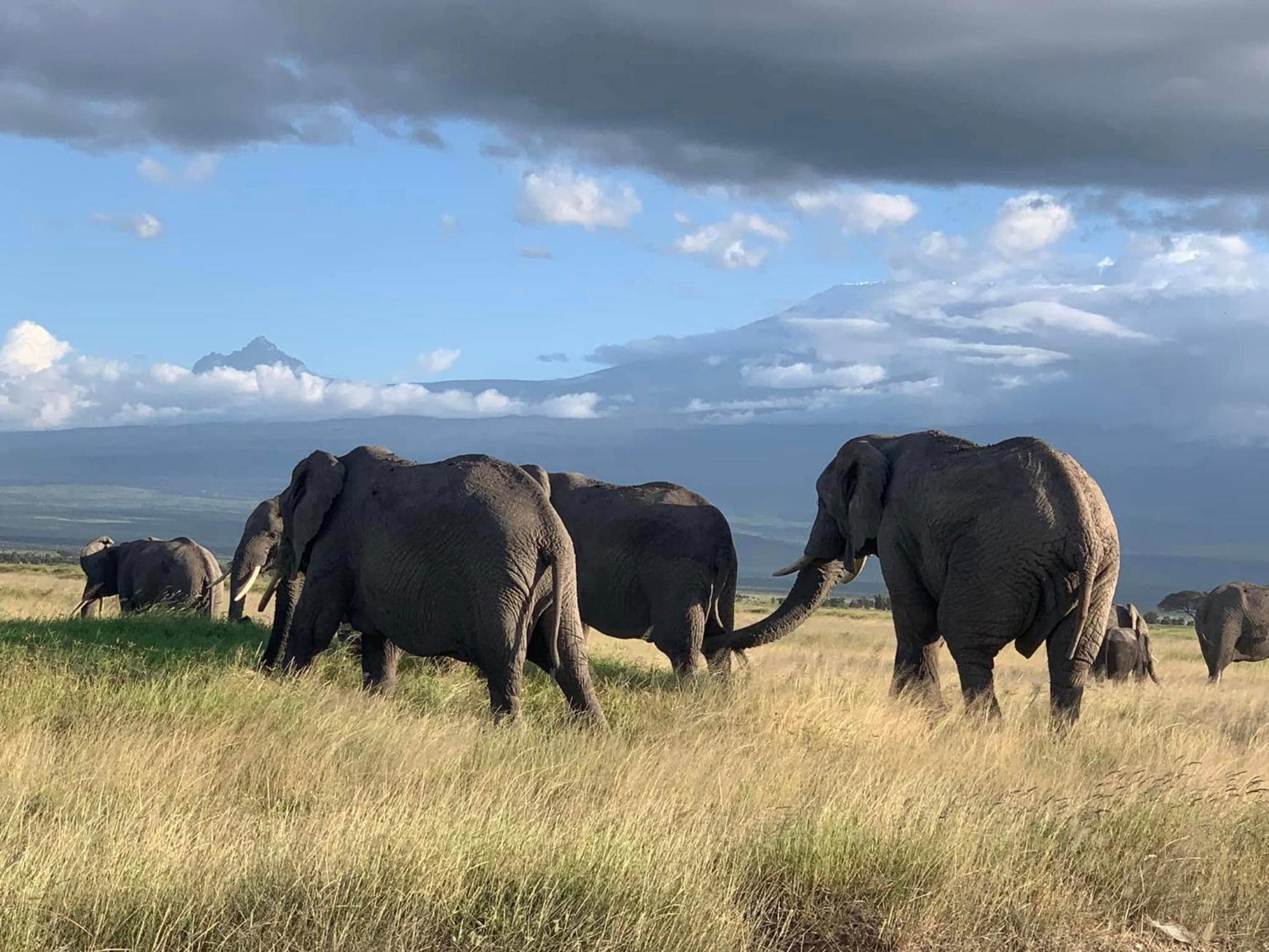 Amboseli Discovery Camp 外观 照片