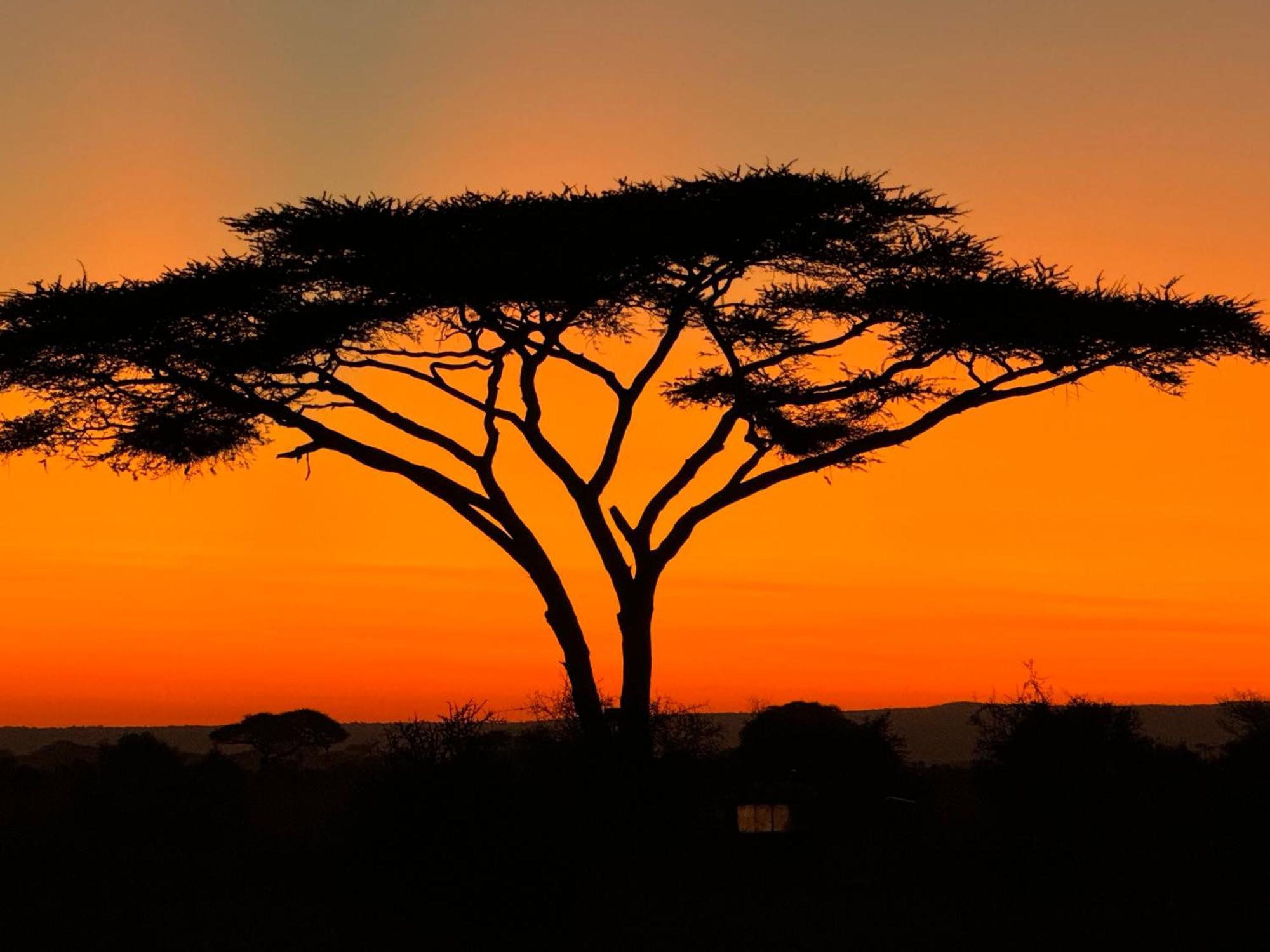 Amboseli Discovery Camp 外观 照片