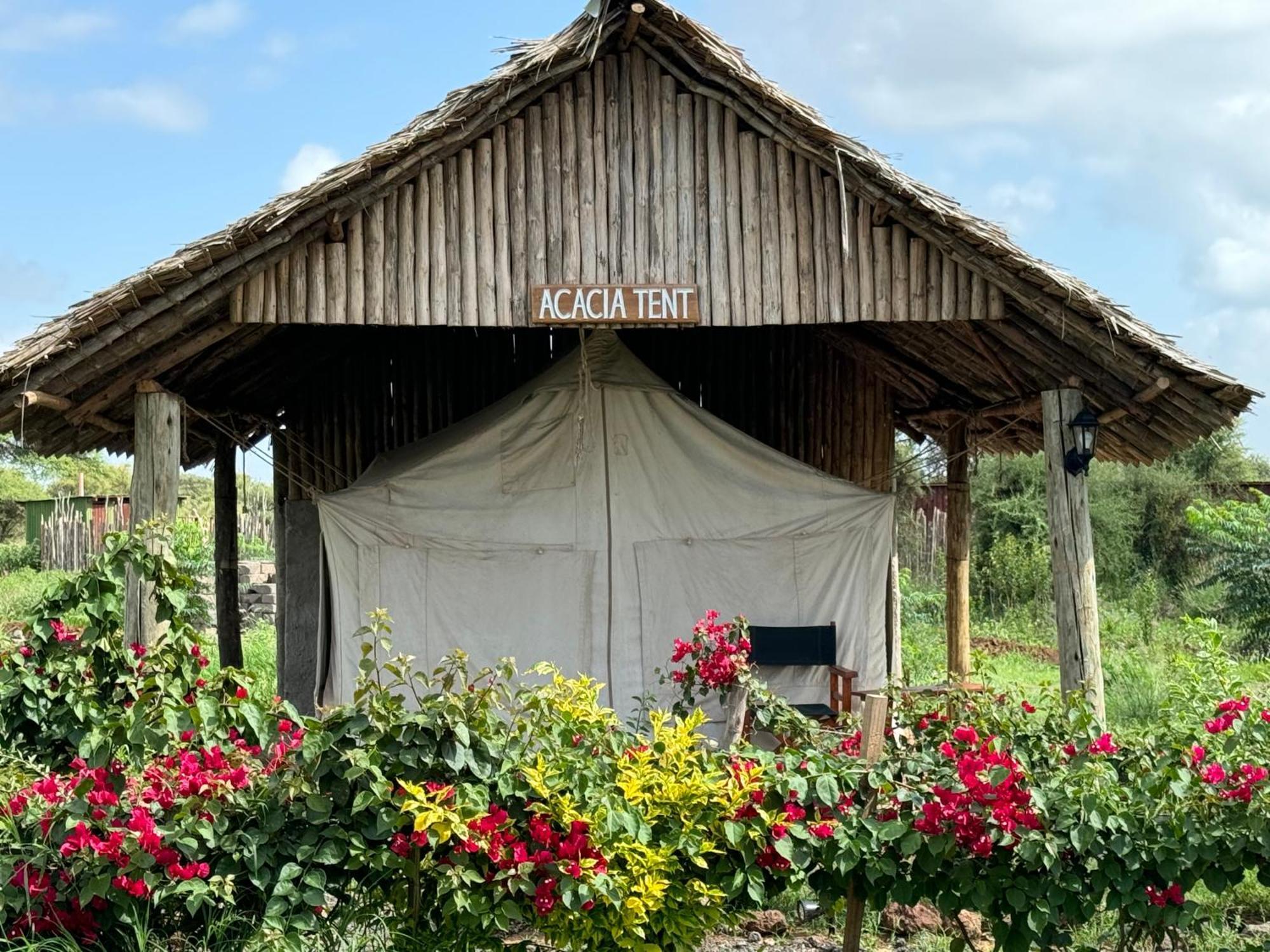 Amboseli Discovery Camp 外观 照片